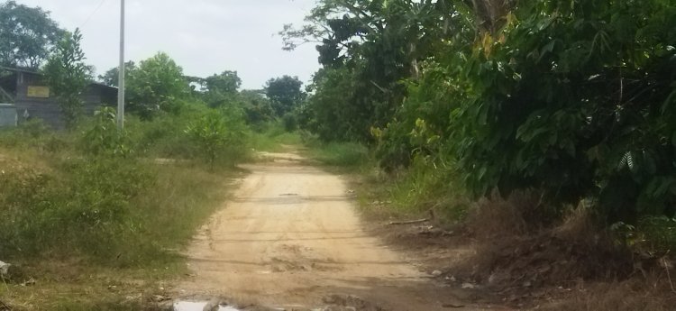 Kenapa Jalan Unggas Simpang Tiga Tidak Sampai Ke Ujung