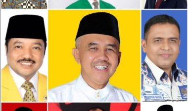 Inilah Anggota DPR RI  2024-2029 Dari Propinsi Riau