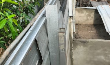 Perumahan Nahfa Pasir Putih Diselimuti Bau Babi, Pemerintah Kampar Diam Saja