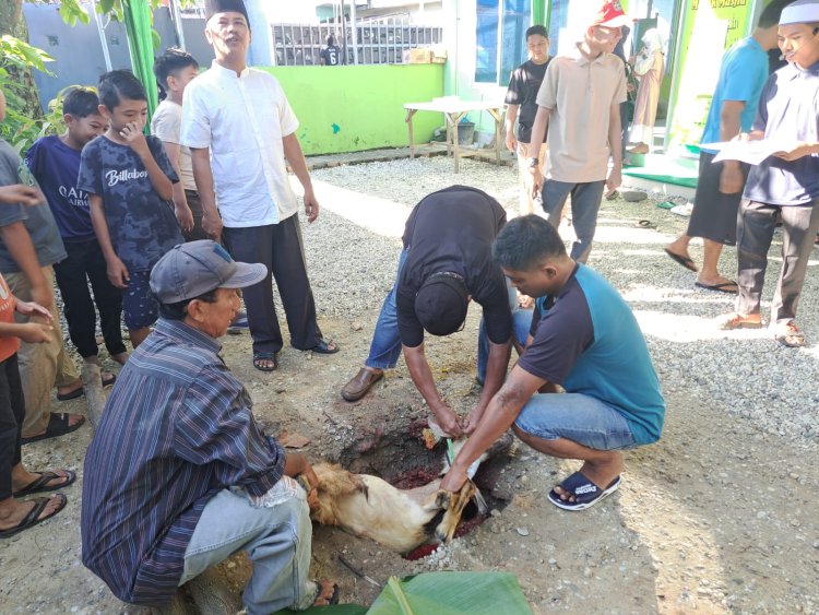 Takbir, Pelaksanaan Qurban Mushalla Al Amin Podomoro Bukit Mas Berjalan Lancar