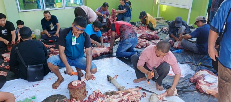 Takbir, Pelaksanaan Qurban Mushalla Al Amin Podomoro Bukit Mas Berjalan Lancar